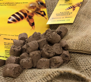 Beebombs Wildflower Seed Gift Bag